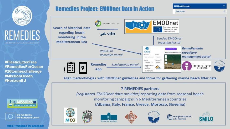 Emodnet and Remedies interacting