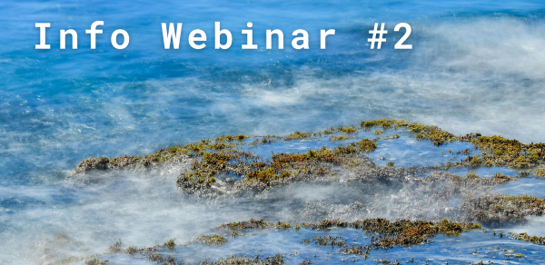 InfoWebinar2-1