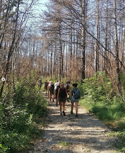 camminata