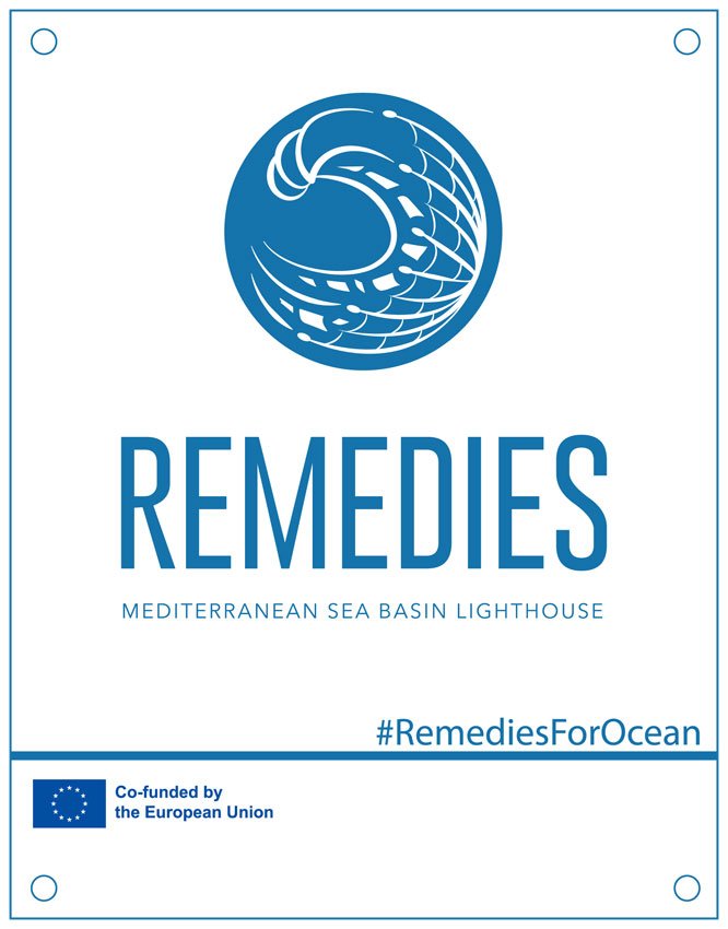 remedies-pdf-home