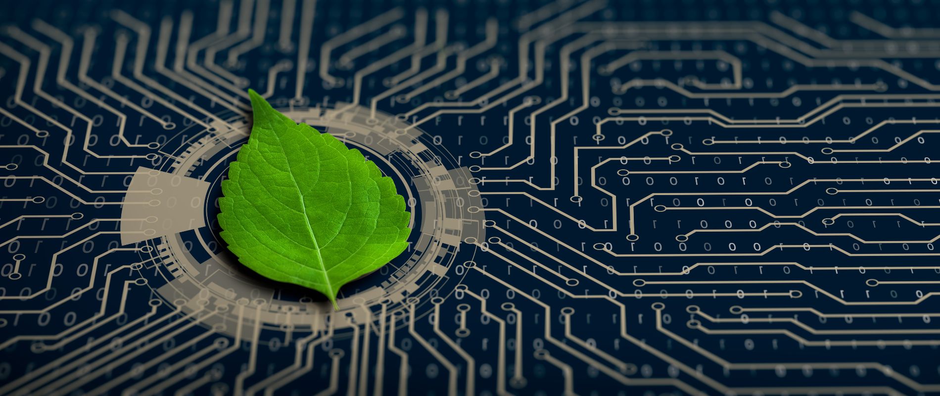 Cosa significa essere una Società Benefit nel settore tech?